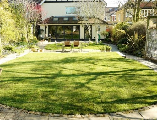 Large Family Garden (With Chickens!)